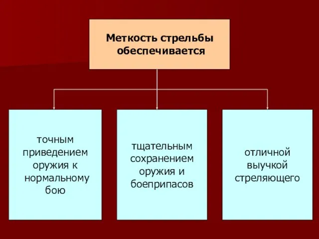 Меткость стрельбы обеспечивается точным приведением оружия к нормальному бою тщательным