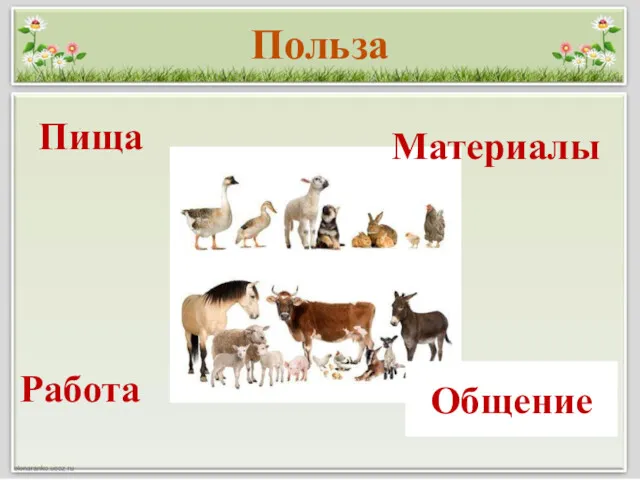 Польза Пища Материалы Работа Общение