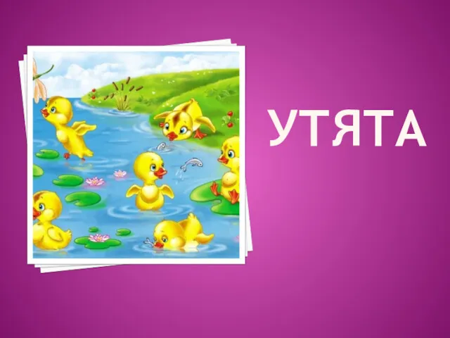 УТЯТА