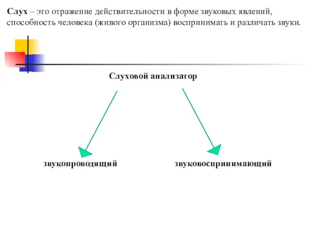 Слух – это отражение действительности в форме звуковых явлений, способность