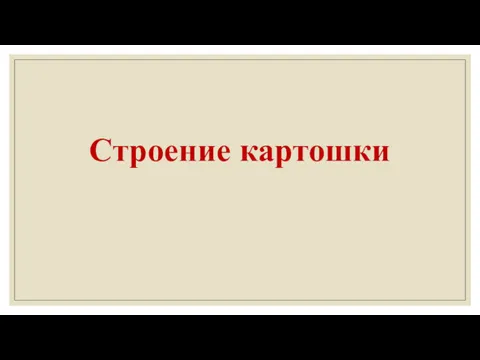 Строение картошки