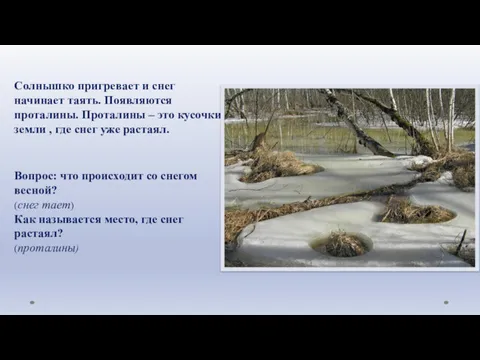 Солнышко пригревает и снег начинает таять. Появляются проталины. Проталины – это кусочки земли