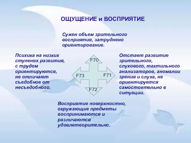 ОЩУЩЕНИЕ и ВОСПРИЯТИЕ Сужен объем зрительного восприятия, затруднено ориентирование. Отстает развитие зрительного, слухового,