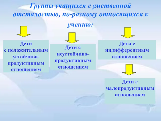 Группы учащихся с умственной отсталостью, по-разному относящихся к учению: Дети с положительным устойчиво-продуктивным