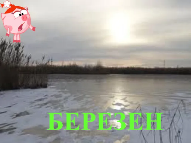 БЕРЕЗЕНЬ