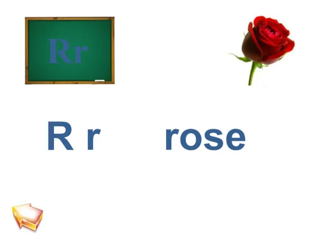 R r Rr rose