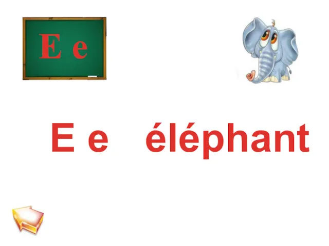 E e E e éléphant
