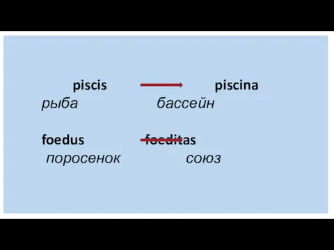 piscis piscina рыба бассейн foedus foeditas поросенок союз