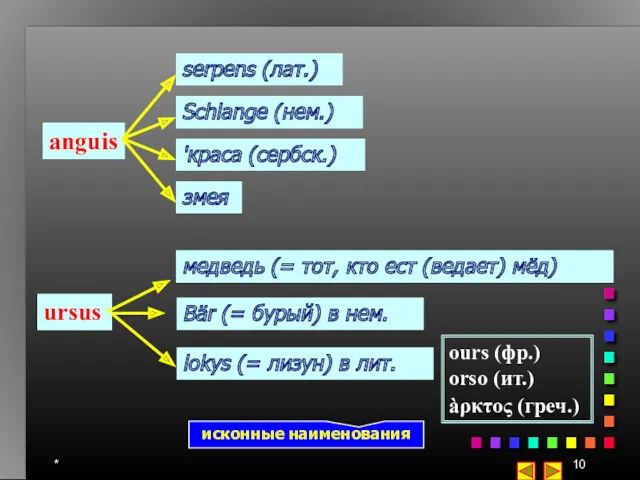 * anguis serpens (лат.) Schlange (нем.) 'краса (сербск.) змея ursus