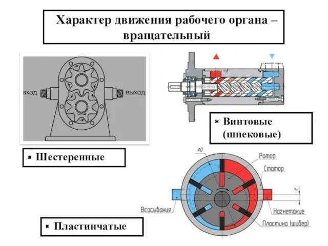 Характер движения рабочего органа – вращательный Шестеренные Винтовые (шнековые) Пластинчатые