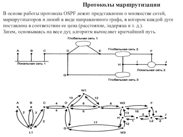Протоколы маршрутизации В основе работы протокола OSPF лежит представление о