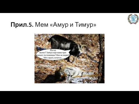 Прил.5. Мем «Амур и Тимур»