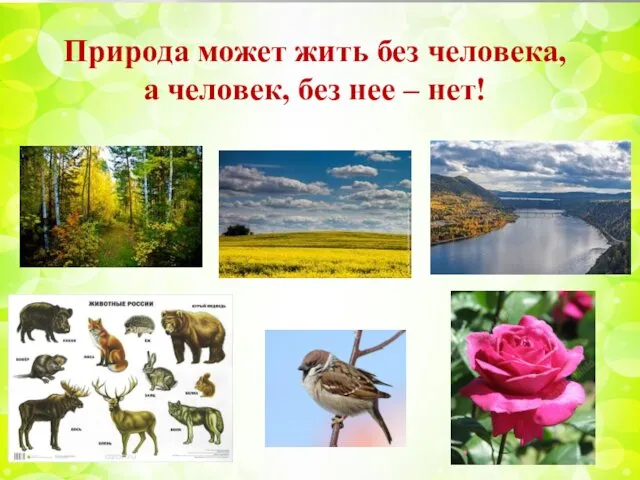 Природа может жить без человека, а человек, без нее – нет!