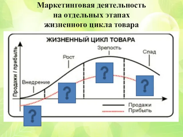 Маркетинговая деятельность на отдельных этапах жизненного цикла товара