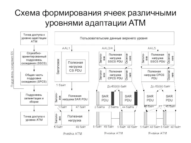 Схема формирования ячеек различными уровнями адаптации АТМ