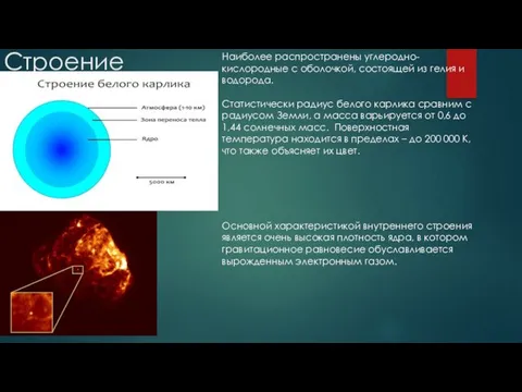 Строение Наиболее распространены углеродно-кислородные с оболочкой, состоящей из гелия и