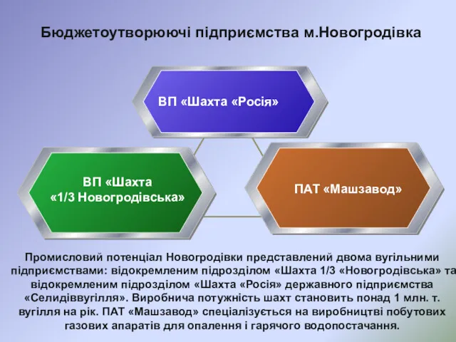 Бюджетоутворюючі підприємства м.Новогродівка ВП «Шахта «Росія» ВП «Шахта «1/3 Новогродівська»