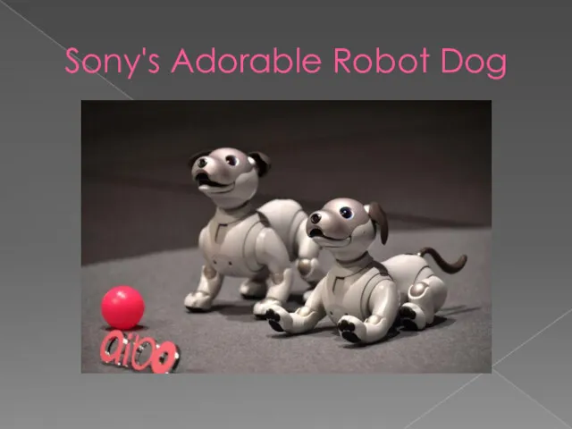 Sony's Adorable Robot Dog
