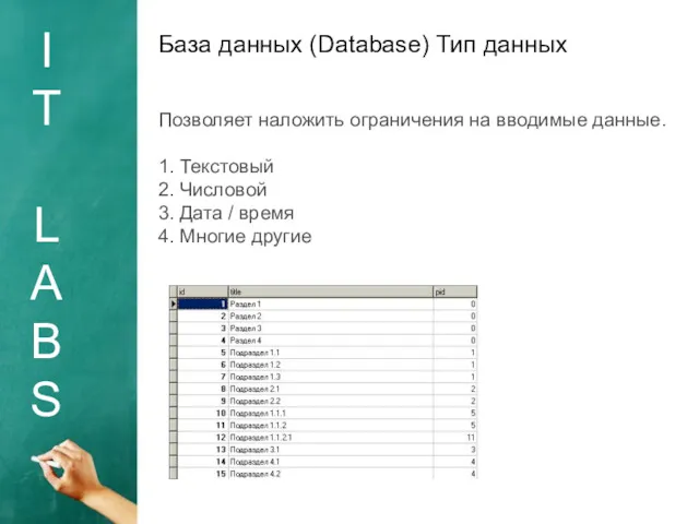 I T L A B S База данных (Database) Тип