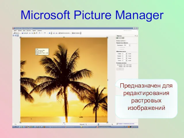 Microsoft Picture Manager Предназначен для редактирования растровых изображений
