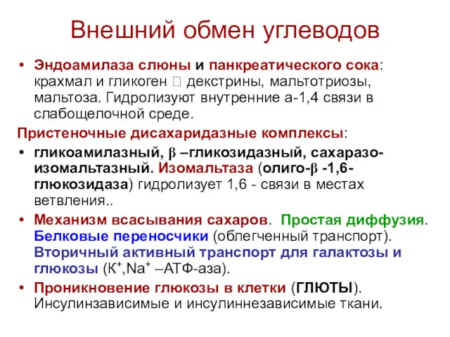 Внешний обмен углеводов Эндоамилаза слюны и панкреатического сока: крахмал и