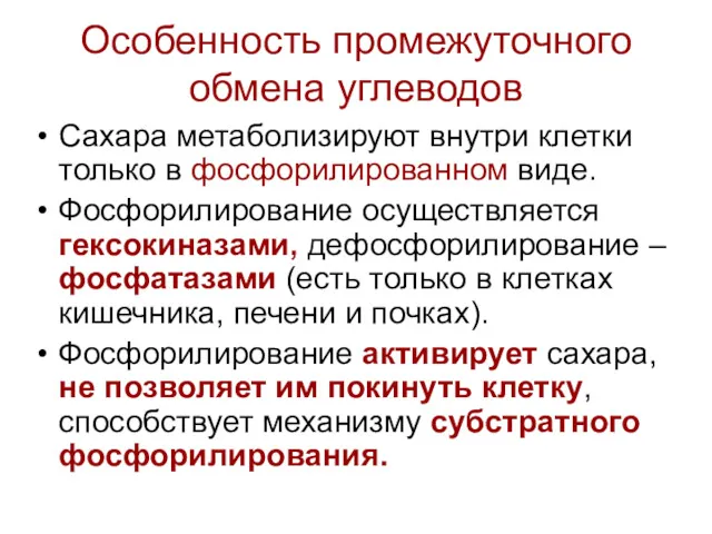 Особенность промежуточного обмена углеводов Сахара метаболизируют внутри клетки только в