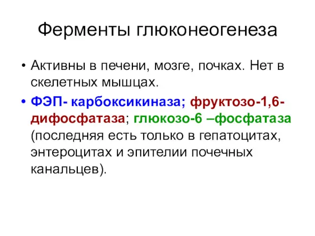 Ферменты глюконеогенеза Активны в печени, мозге, почках. Нет в скелетных