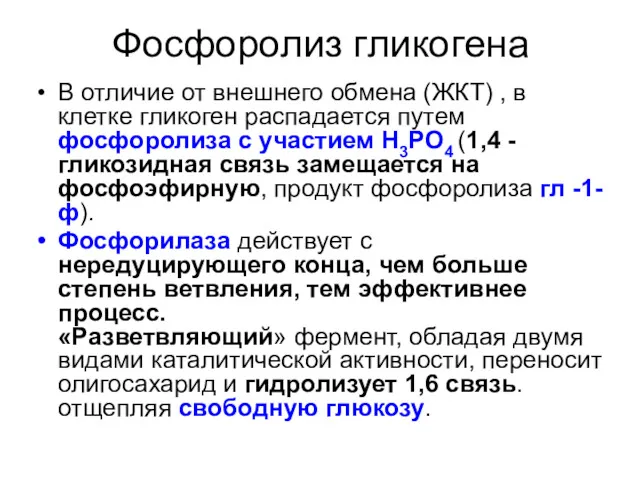 Фосфоролиз гликогена В отличие от внешнего обмена (ЖКТ) , в