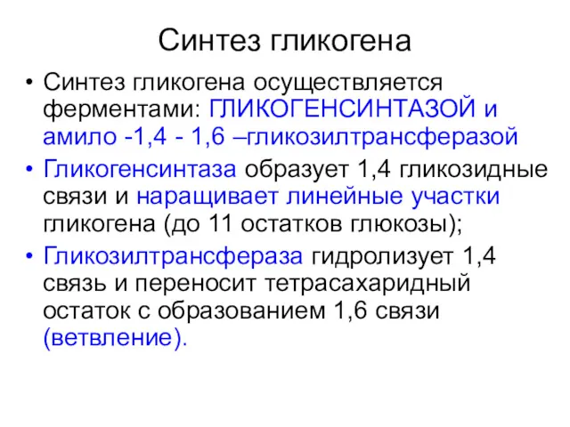 Синтез гликогена Синтез гликогена осуществляется ферментами: ГЛИКОГЕНСИНТАЗОЙ и амило -1,4