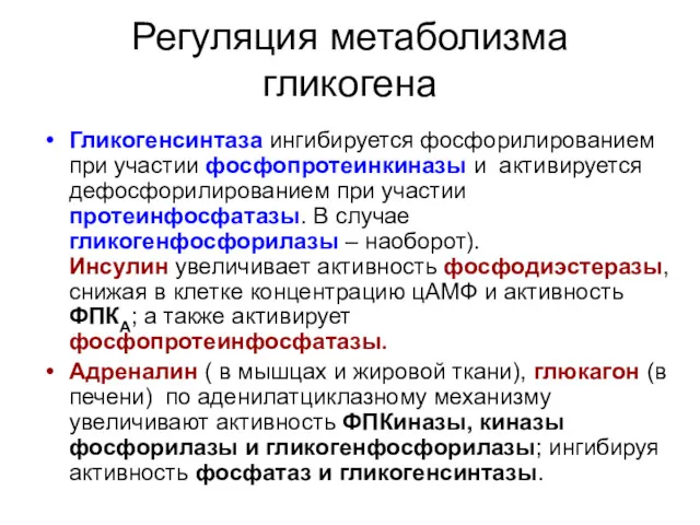 Регуляция метаболизма гликогена Гликогенсинтаза ингибируется фосфорилированием при участии фосфопротеинкиназы и