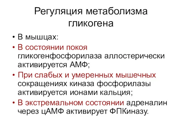 Регуляция метаболизма гликогена В мышцах: В состоянии покоя гликогенфосфорилаза аллостерически