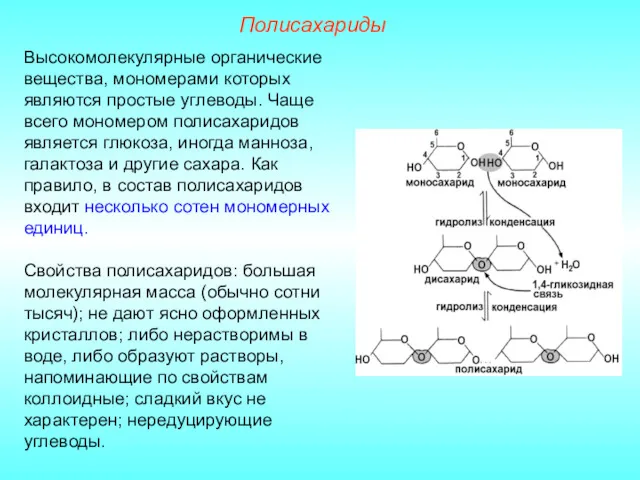 Полисахариды Высокомолекулярные органические вещества, мономерами которых являются простые углеводы. Чаще