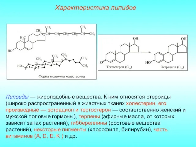 Характеристика липидов Липоиды — жироподобные вещества. К ним относятся стероиды