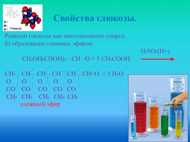Свойства глюкозы. Реакции глюкозы как многоатомного спирта: б) образование сложных эфиров: Н2SO4(H+) СН2ОН(СНОН)4