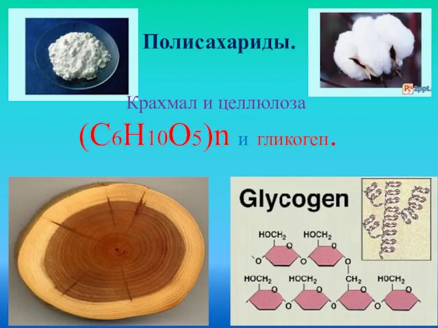 Полисахариды. Крахмал и целлюлоза (С6Н10О5)n и гликоген.