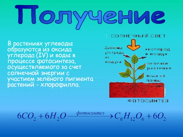 Получение В растениях углеводы образуются из оксида углерода (IV) и воды в процессе