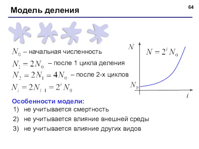 – начальная численность – после 1 цикла деления – после 2-х циклов Особенности