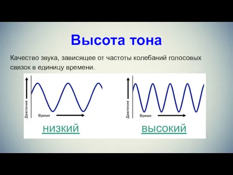 Высота тона Качество звука, зависящее от частоты колебаний голосовых связок в единицу времени.