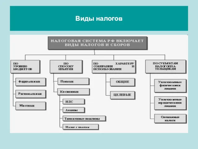 Виды налогов