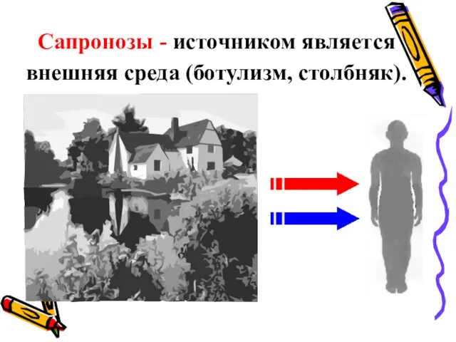 Сапронозы - источником является внешняя среда (ботулизм, столбняк).