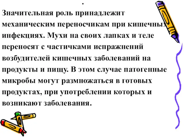 . Значительная роль принадлежит механическим переносчикам при кишечных инфекциях. Мухи