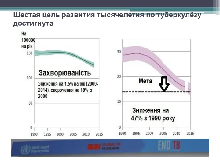 Шестая цель развития тысячелетия по туберкулёзу достигнута