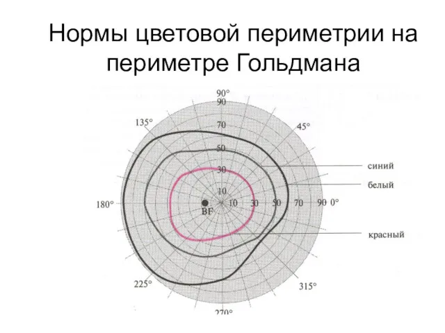 Нормы цветовой периметрии на периметре Гольдмана