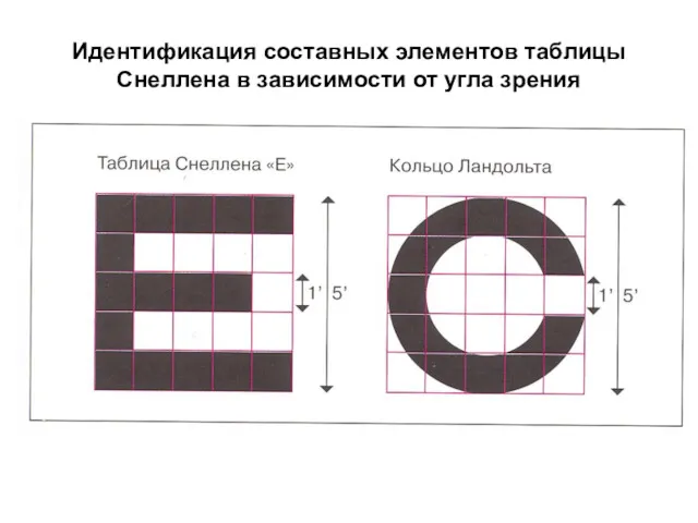 Идентификация составных элементов таблицы Снеллена в зависимости от угла зрения