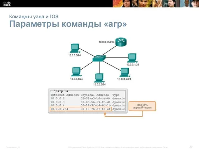 Команды узла и IOS Параметры команды «arp»