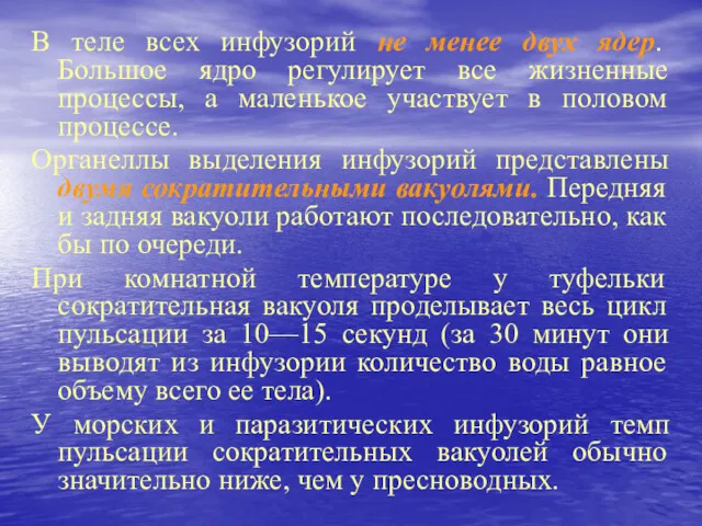 В теле всех инфузорий не менее двух ядер. Большое ядро регулирует все жизненные