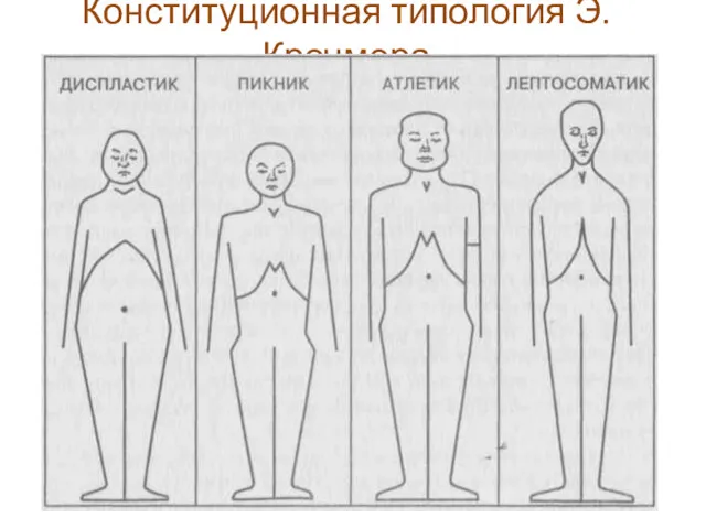 Конституционная типология Э. Кречмера