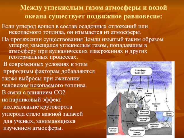 Между углекислым газом атмосферы и водой океана существует подвижное равновесие: