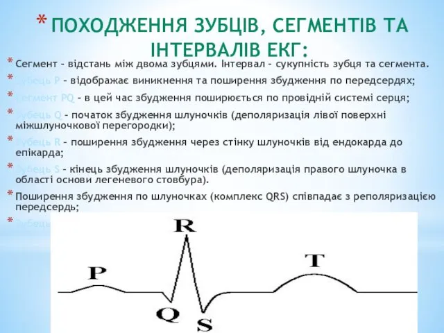 ПОХОДЖЕННЯ ЗУБЦІВ, СЕГМЕНТІВ ТА ІНТЕРВАЛІВ ЕКГ: Сегмент – відстань між