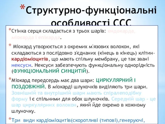 Структурно-функціональні особливості ССС Стінка серця складається з трьох шарів: ендокарда,